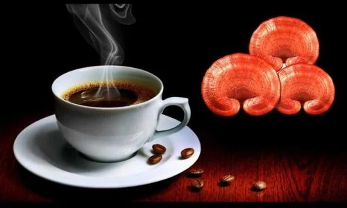 خواص قهوه گانودرما برای لاغری