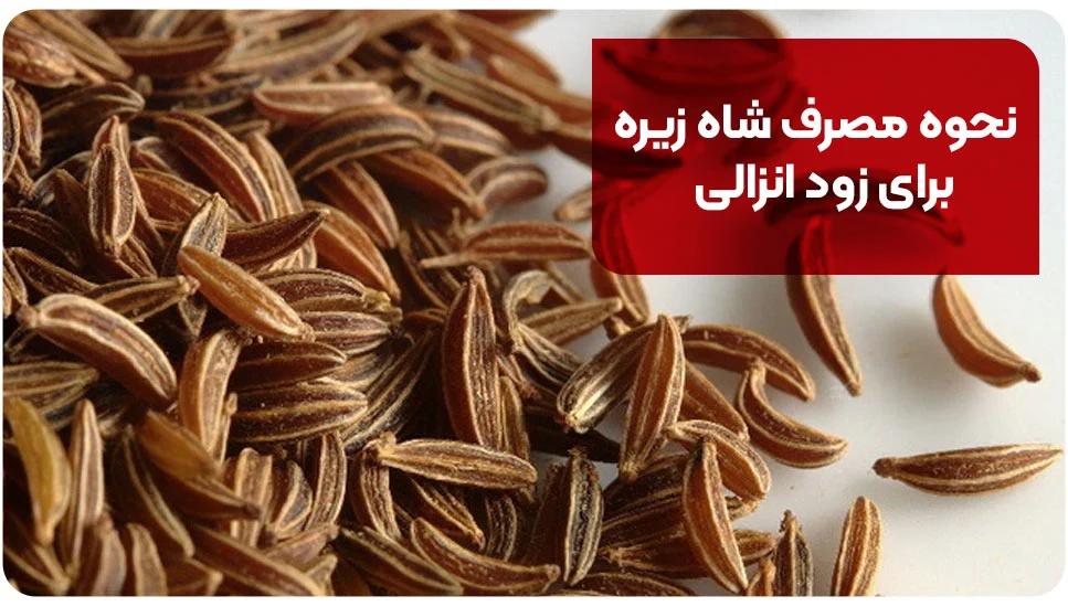 نحوه مصرف شاه زیره برای زود انزالی