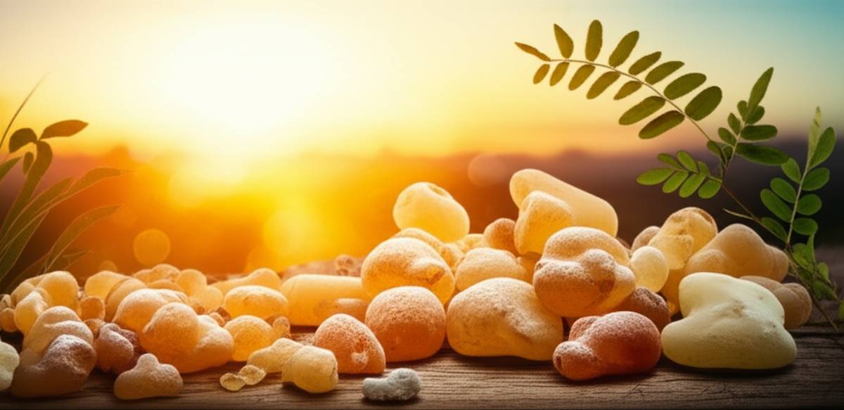 خواص | سلامتی خواص خوردن کندر صبح ناشتا: هر آنچه باید بدانید