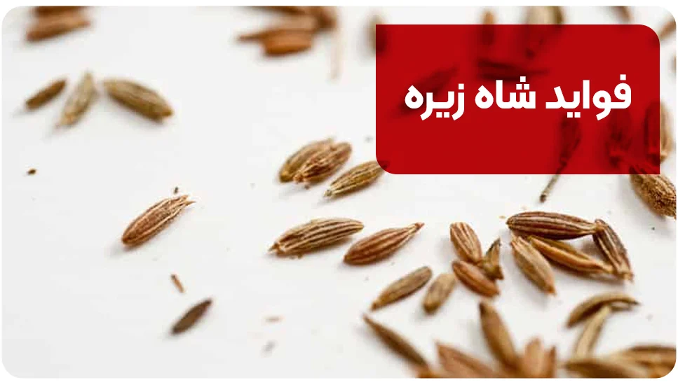 فواید شاه زیره