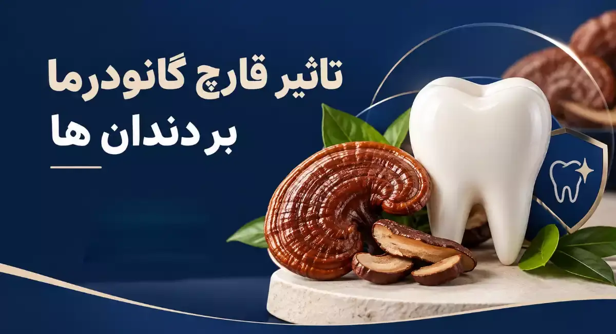 تاثیر قارچ گانودرما بر دندان ها چیست؟ بررسی خواص و عوارض